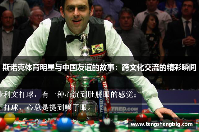 斯诺克体育明星与中国友谊的故事：跨文化交流的精彩瞬间